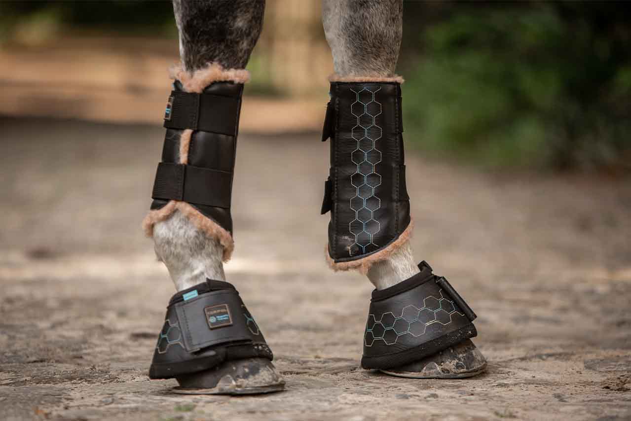 Sheep Wool in Equestrian Sport – A Natural Choice That’s Making a Comeback